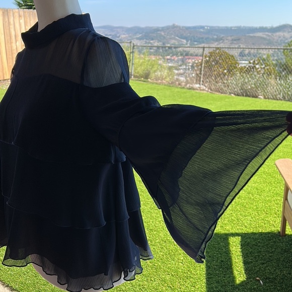 Evereve - Allison Joy Katya Tiered Ruffle Blouse /Top, Medium - Picture 3 of 6